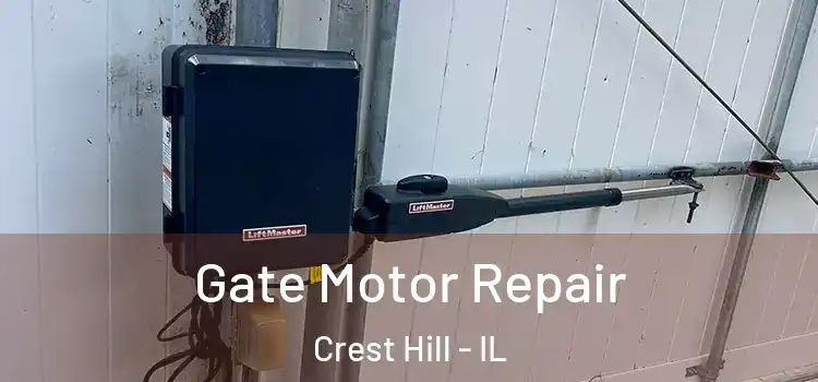 Gate Motor Repair Crest Hill - IL
